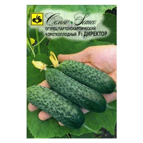 ������ ������ ������ ������ �������� F1 6�� ������������������ (����time) ����