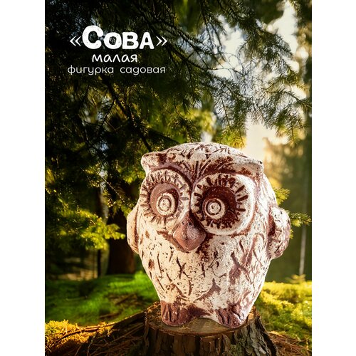 ������ ������ ������� ������� ������ ����