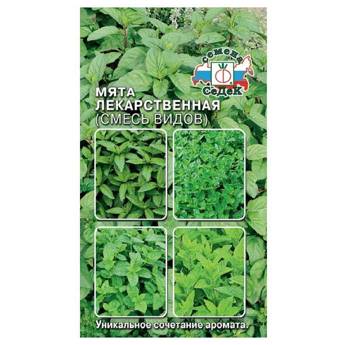 ������ ������ ������ ����� ���� ������������� ����� ������ ����