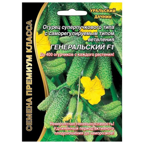 ������ ������ ������ ��������� ������ ������� ������ ������������ F1 5 ��. ����