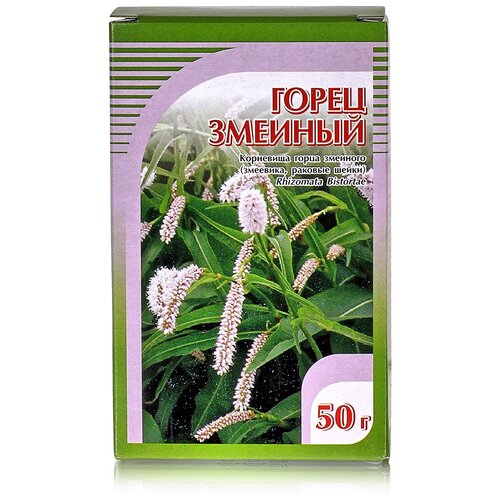 ������ ������ ����� ��������� ����� �������, 50 � ����