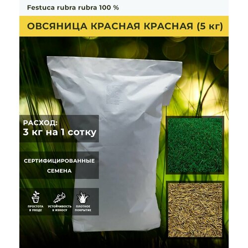 ������ ������ ������ ������ �������� ������� (5 ��) ����