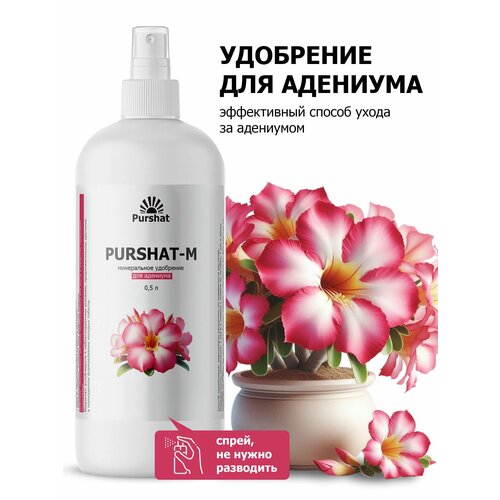 ������ ������ ��������� ��� �������� ����� ������-� 0,5 � ����