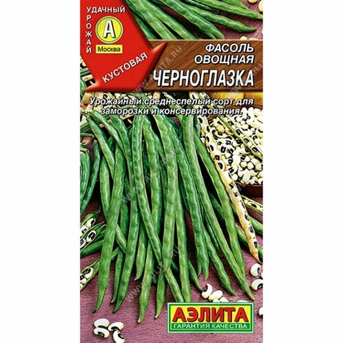 ������ ������ ������ ������ ����������� (������) 5� ����