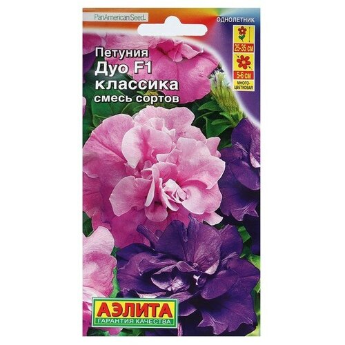 ������ ������ ������ ������ ������� ��� �������� F1 �������������� ��������, ����� �������, 10�� ����