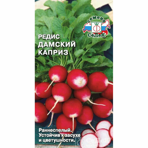 ������ ������ ������ ����� ������� ������ 2� ������ (�����) ����