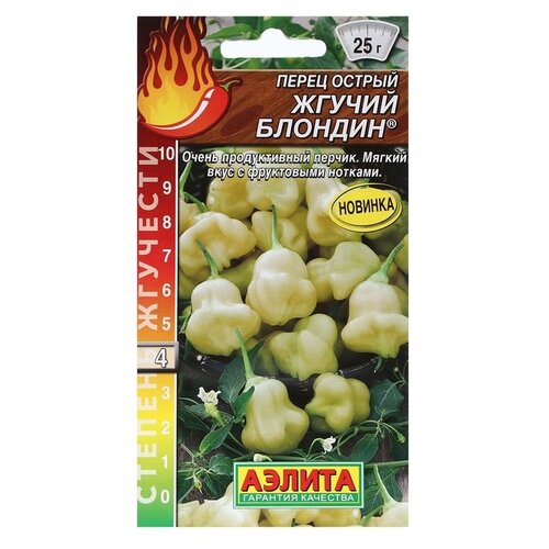 ������ ������ ������ ��������� ������ ����� ������ ������ �������, 0,2 � ����