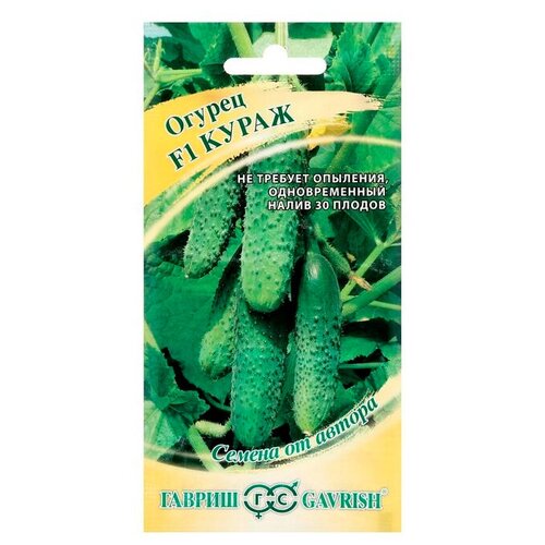 ������ ������ ������ ������ ������ �� ������ ������ ����� F1 10 ��., 10 ��. ����