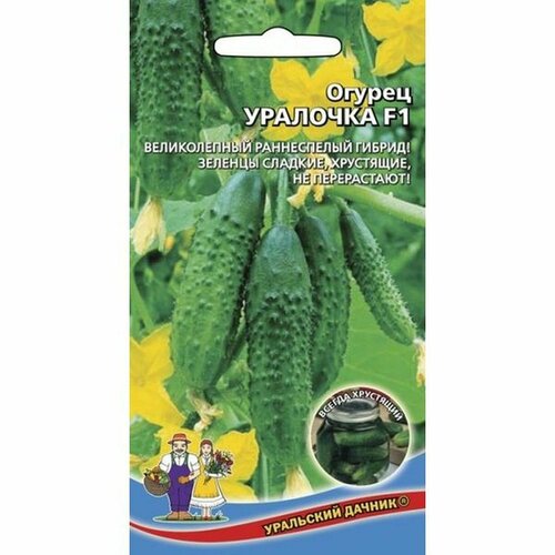 ������ ������ ������ ������ �������� F1 (������������������) 10�� ����