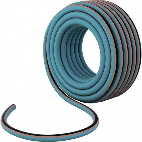 ������ ������ ����� ���������� ������������, 3/4