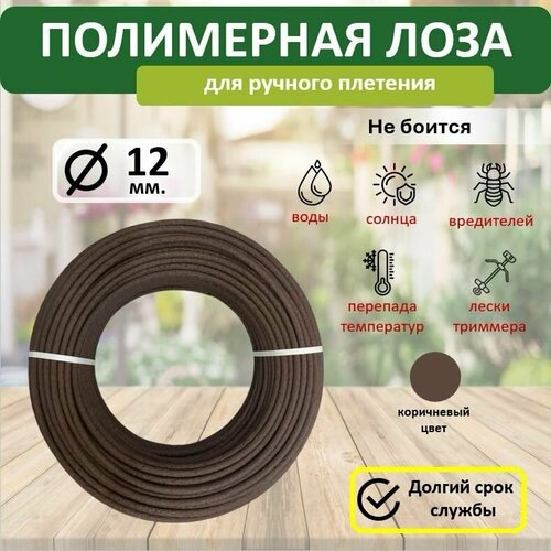 ������ ������ ���������� ���� � �����, ������� 12��, 10�, ���������� ����