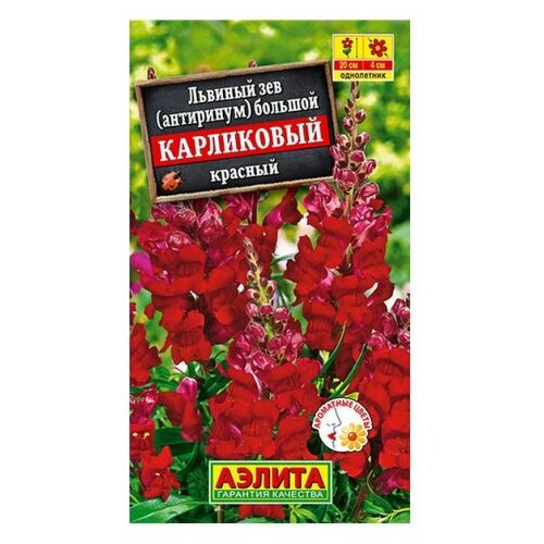 ������ ������ ������ ��������� ������ ������� ��� ���������� ������� 10 ��. ����