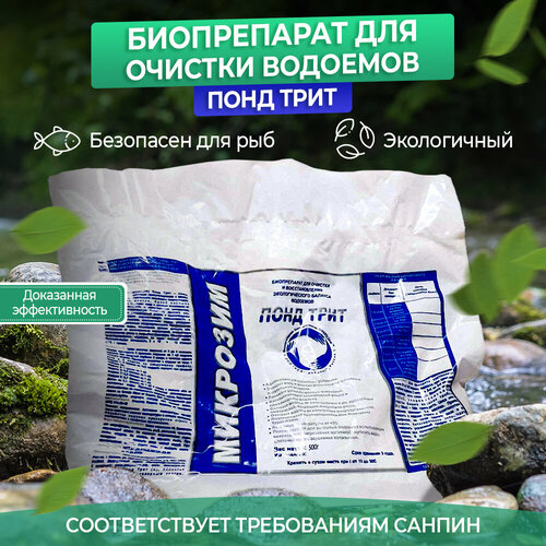 ������ ������ �������� ������ �������� ���� � ����� �������� ���� ���� 500�� ����