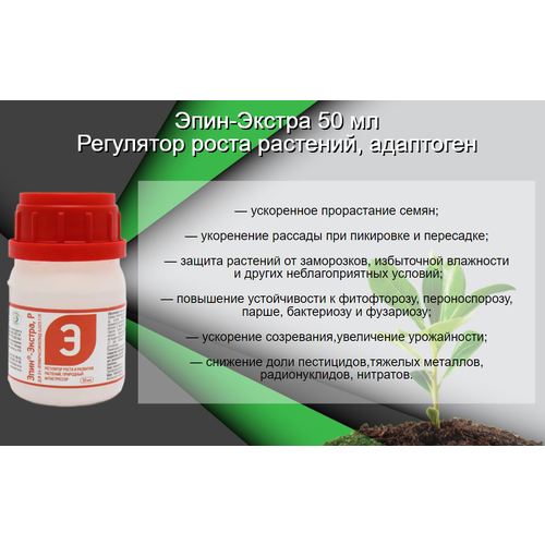 ������ ������ ����-������ 50 �� ��������� ����� �������� ��������� ����