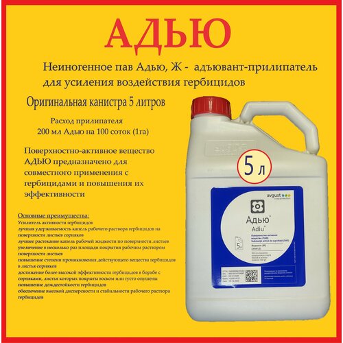 ������ ������ �������� ���� - ����������� ��� �������� ����������� ����������. ����