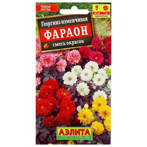 ������ ������ ������ ������ �������� 