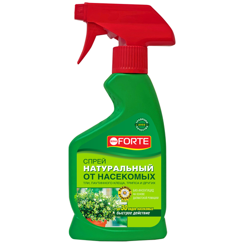 ������ ������ BONA FORTE ����������� ����� �� �������� � ��������� ���������, 250 ��, 250 � ����