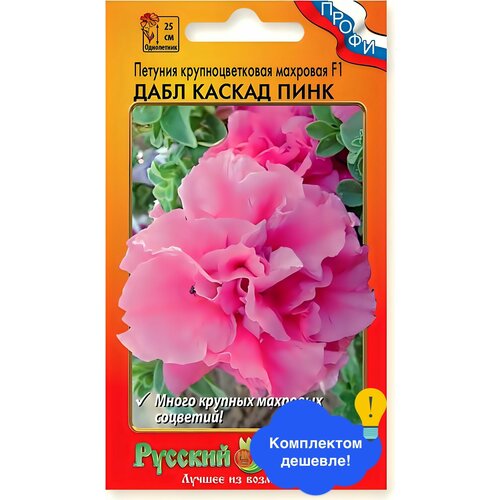 ������ ������ ����� ������� ���� ������ ���� F1 �������� 10�� ����� ����