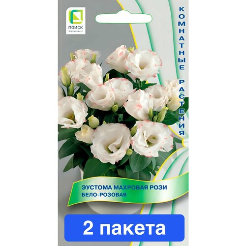 ������ ������ ����� ������� �������� ���� ����-������� 2 ������ ����