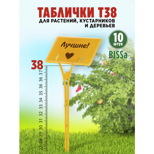 ������ ������ ������� �������� ��� ��������, Bissa �38, ������, 10 �� ����