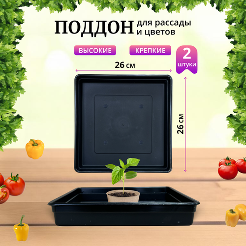 ������ ������ ������ ��� ������� 260�260�40��, �����������, ������, ����� 2�� ����