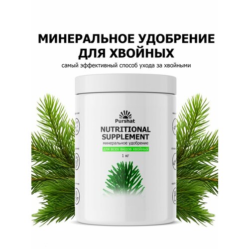 ������ ������ ��������� ������ ����������� ��� ������� 1 �� ����