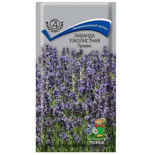 ������ ������ ������ ����� ������� ����������� ������� 0.1 �, 3 ��. ����