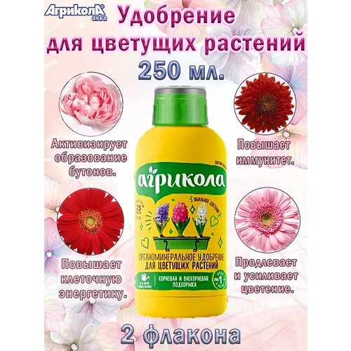 ������ ������ ��������� �������� ���� ��� �������� �������� 250 ��. ����