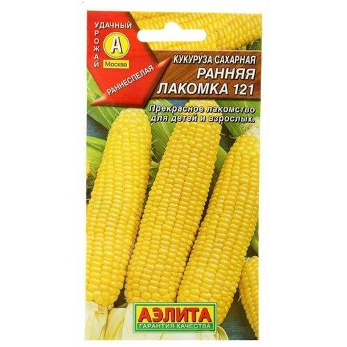 ������ ������ ������ �������� �������� ������� 121 �������� 7� ������ (������) ����