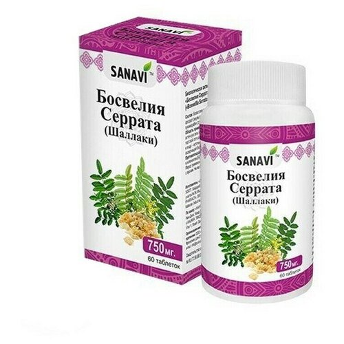 ������ ������ Sanavi �������� ������� Sanavi, 60 �������� ����