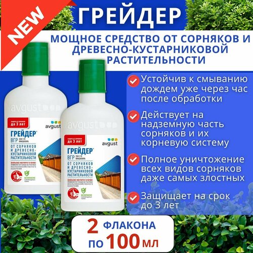 ������ ������ �������� �� �������� 