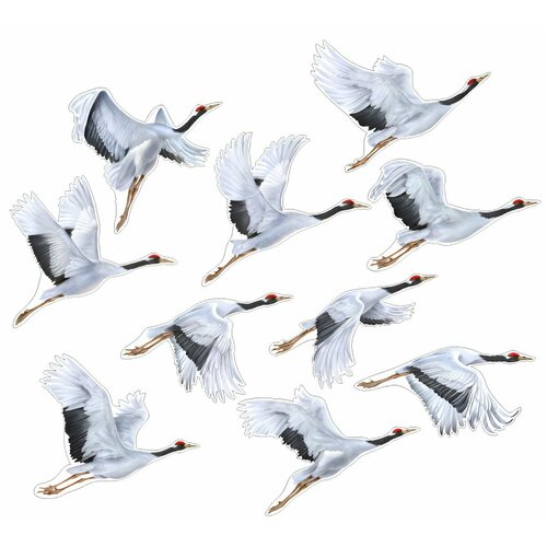 ������ ������ ����� ��� ���������� ��������� �� 9 ��� ���� ������ 