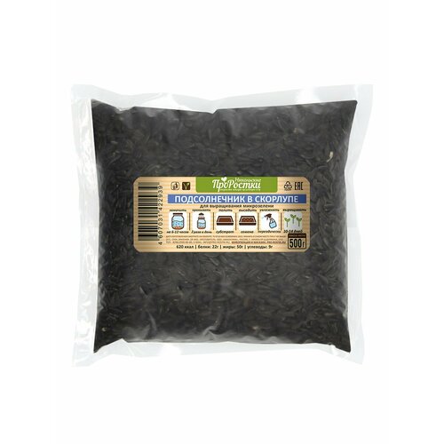 ������ ������ ������������ � �������� ������ ����������� 500 �� - ������ ������ � ��� ����! ����