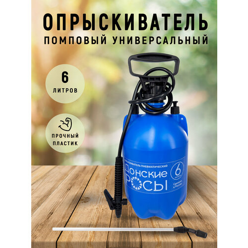 ������ ������ ������������� ������� �������� 6 � ����