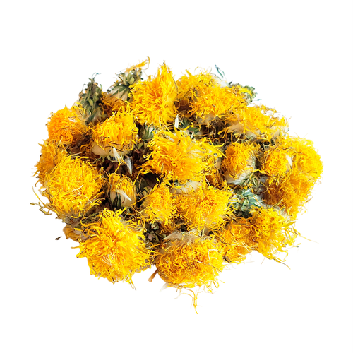 ������ ������ ������ ���������� �������������� ����