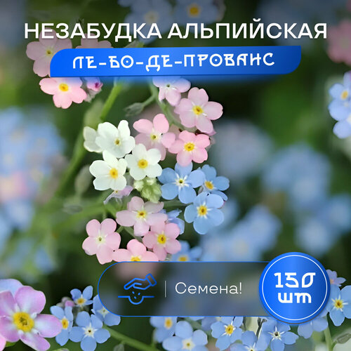 ������ ������ ��������� ���������� ��-��-��-�������, ����, �������, ������������, ����, ������ 150 ��. ����