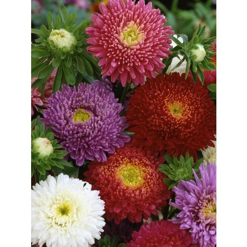 ������ ������ ������ ����� �������� ����� ����