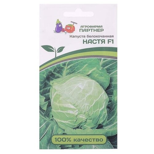 ������ ������ ������ ������� ������������ 