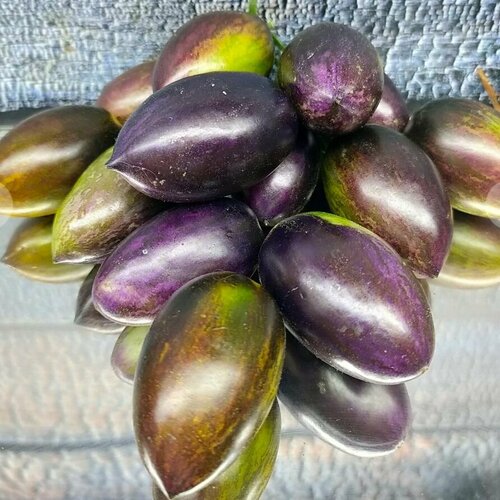 ������ ������ ������������� ������ ������ ������� �������� ����� ����