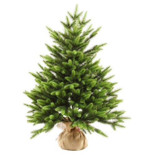 ������ ������ ��� ������������� ���� ���� �����, 80 �� ����