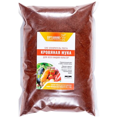 ������ ������ �������� ���� 1�� ����