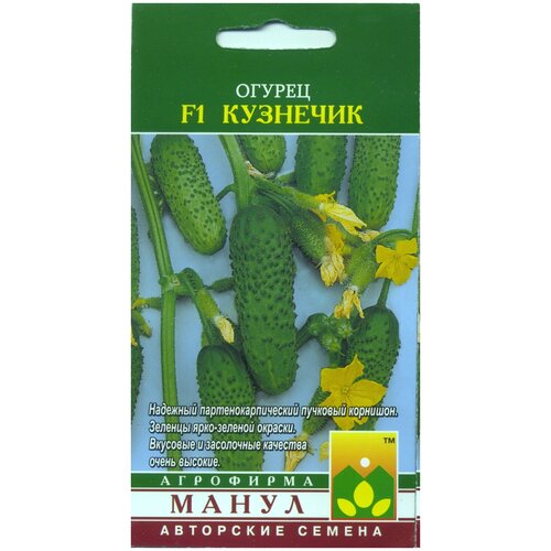 ������ ������ ������ �������� F1 ����