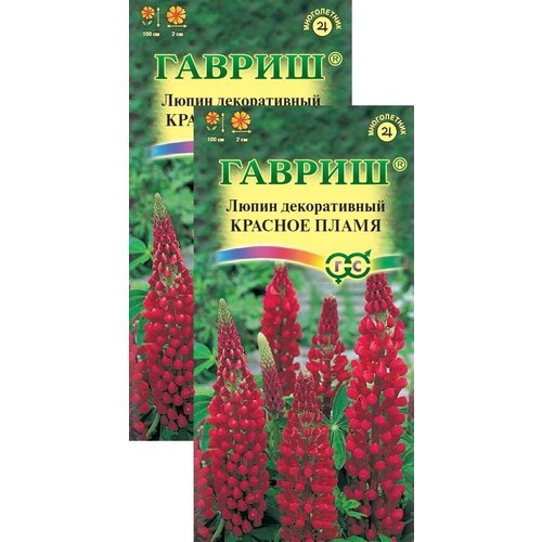 ������ ������ ����� ������� ����� (0,5 �), 2 ������ ����