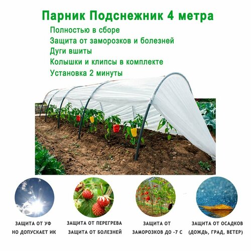 ������ ������ ������ ������� ���������� ������������, 4 ����� / ������ ��� ������� ����