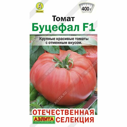 ������ ������ ������ ����� ������� F1 (������) 20�� ������������� �������� ����