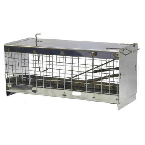 ������ ������ ���������� ������ ������+����� ����