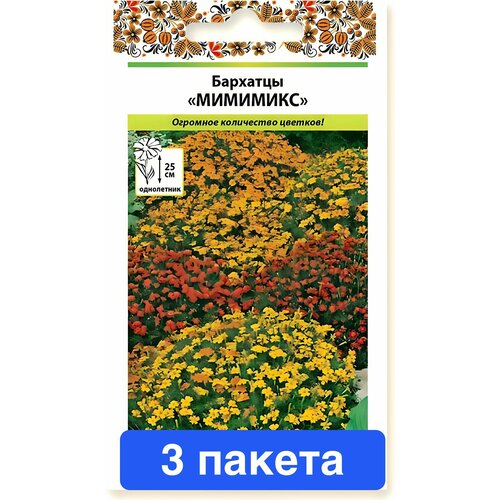 ������ ������ ����� �������� �������� 3 ������ ����