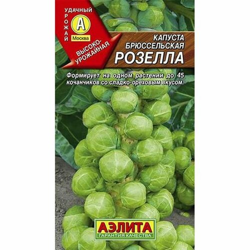 ������ ������ ������ ������� ������������ ������� ��. (������) 0,3� ����