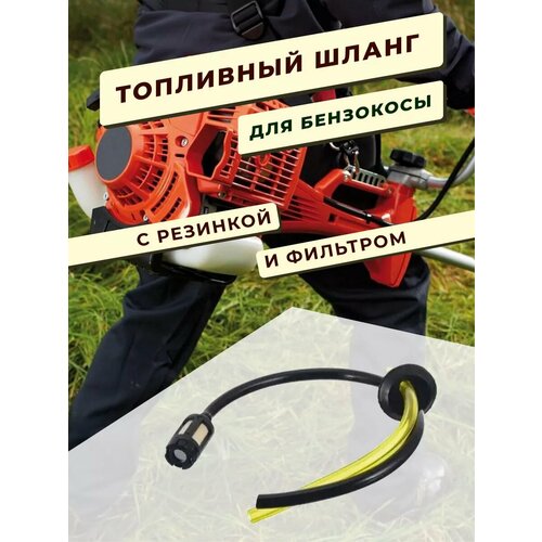 ������ ������ ����� ��������� � �������� ��� ���������, �������� ����