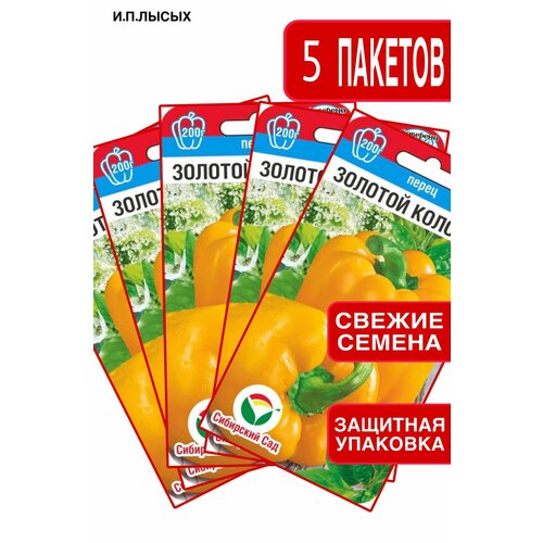 ������ ������ ������ ����� ������� ������� ����